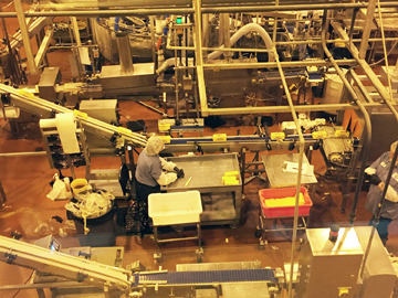 Production line at the Tillamook Cheese Factory. What we are seeing is quality control of packaging one of their cheeses.