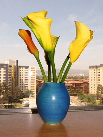 vase by Chad Luberger